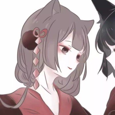 马斯克库克将随特朗普访华