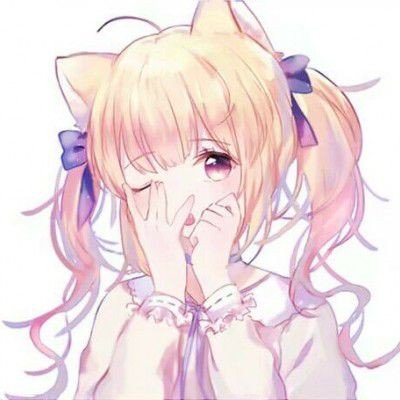 公司欠债倒闭五只猫咪员工被法拍